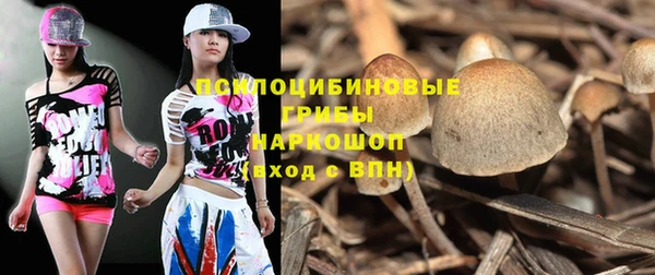 мяу мяу мука Михайловск