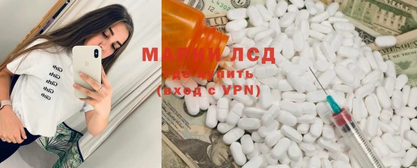 мяу мяу мука Михайловск
