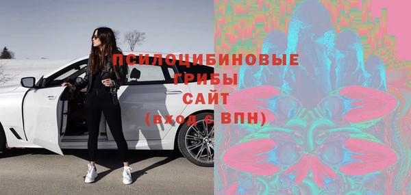 первитин Михайлов