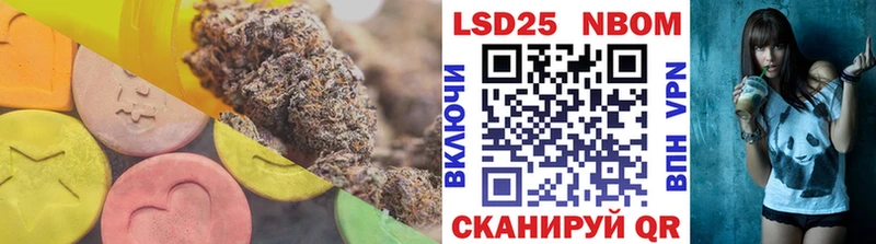 Купить закладки  Шенкурск  LSD-25 экстази кислота 