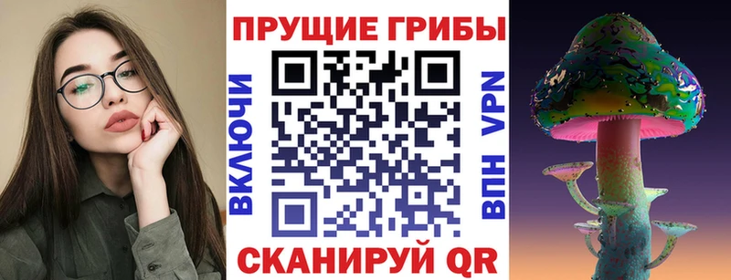 Псилоцибиновые грибы Magic Shrooms  Купить  Шенкурск 