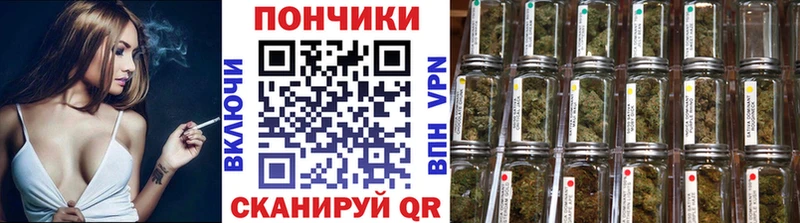 Бошки марихуана индика  Купить закладки  Шенкурск 
